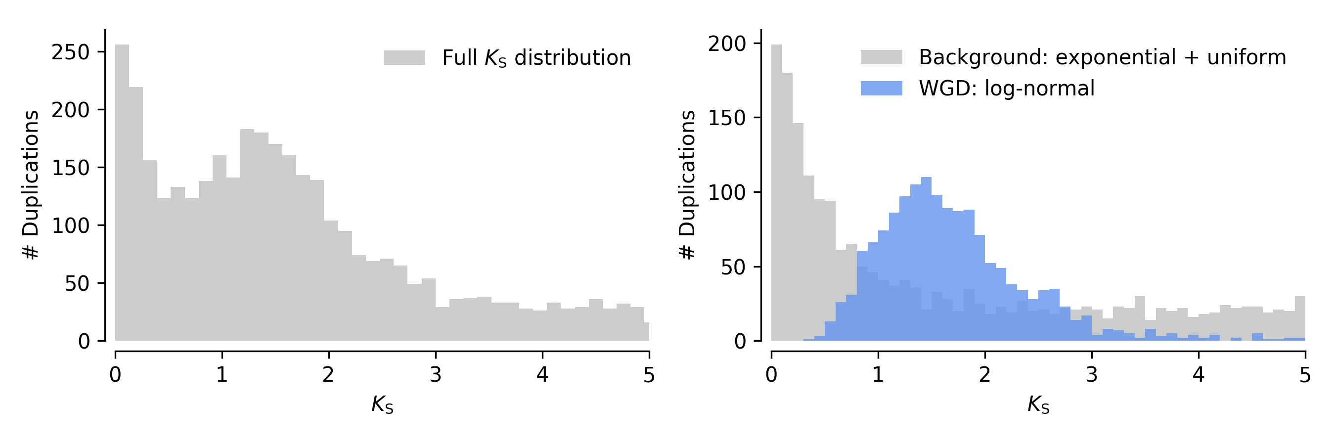 _images/adhoc.png